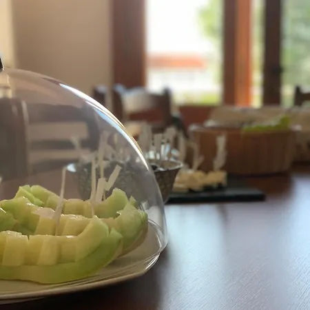 Apollonia Willa Fier