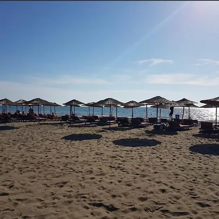 Apollonia *